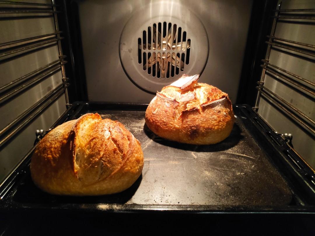 Two sourdough loaves on a Steel Craft baking steel inside a home oven