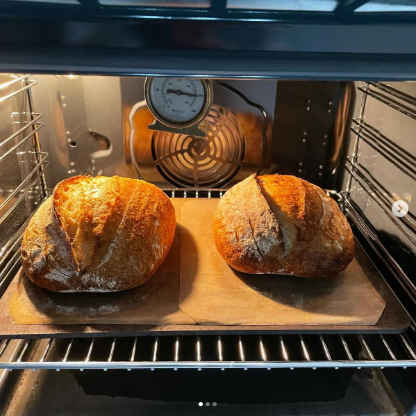 Two sourdough loaves baked golden brown in a home oven on a Steel Craft baking steel
